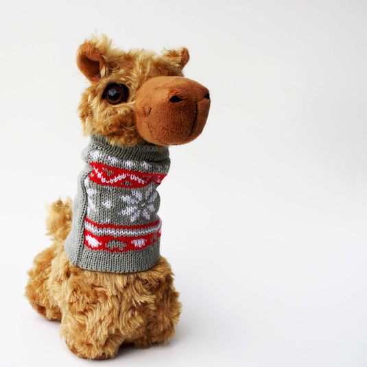 PacaBuddies Sweater Accessories