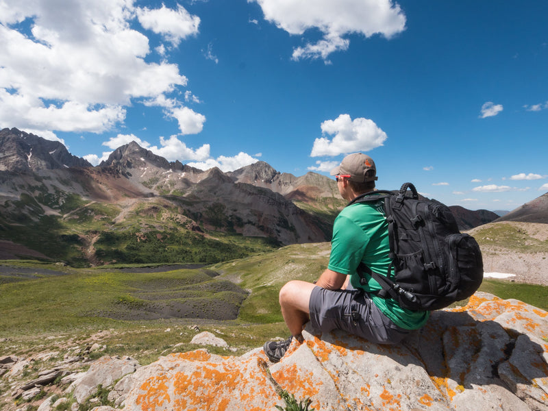 Load image into Gallery viewer, PULSE - 24-Hour Backpack
