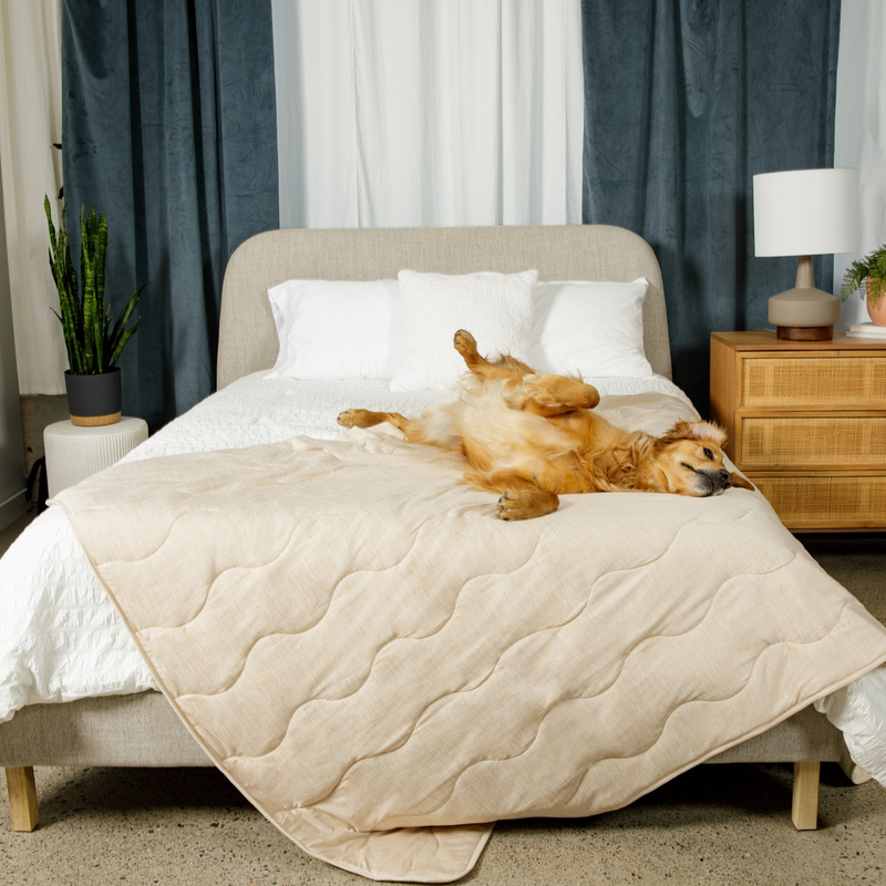 Load image into Gallery viewer, PupChill™ Cooling Waterproof Blanket - Arctic Sand
