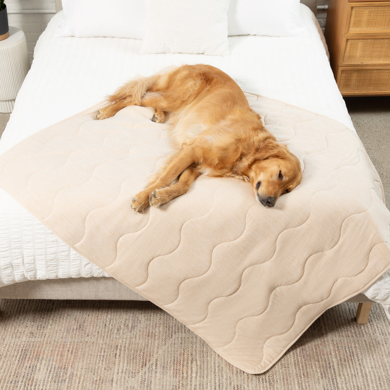 Load image into Gallery viewer, PupChill™ Cooling Waterproof Blanket - Arctic Sand
