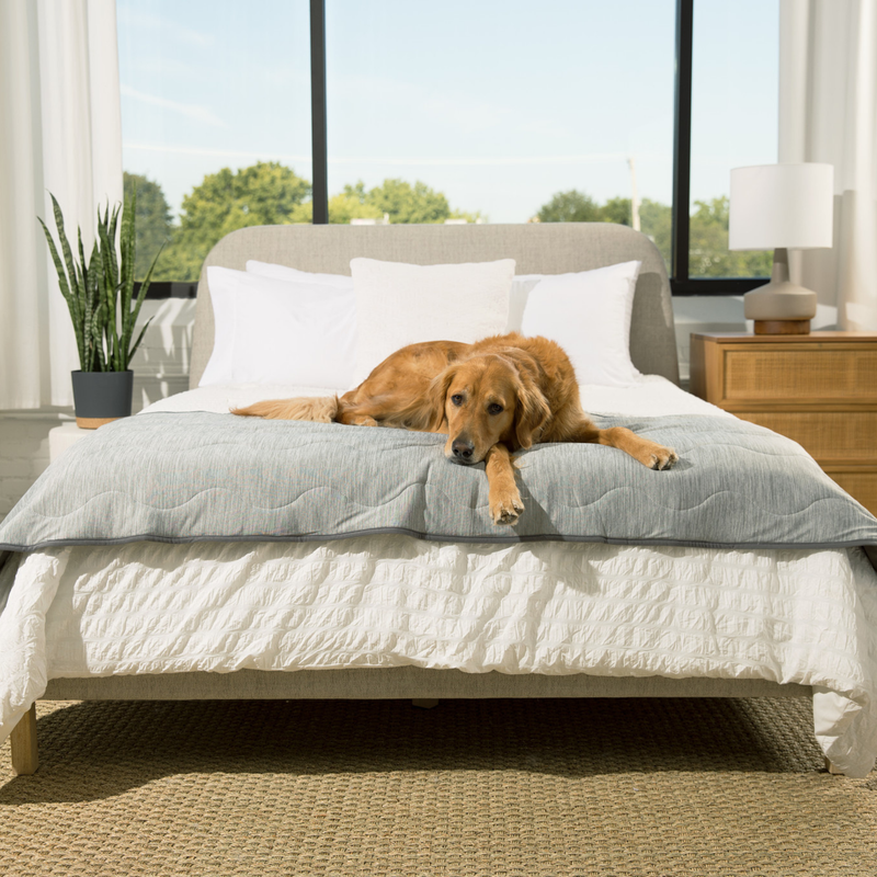 Load image into Gallery viewer, PupChill™ Cooling Waterproof Runner Blanket - Arctic Grey
