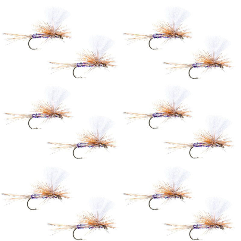 Load image into Gallery viewer, Parachute Super Flash Purple Haze Dry Fly - 12 Flies Size 12
