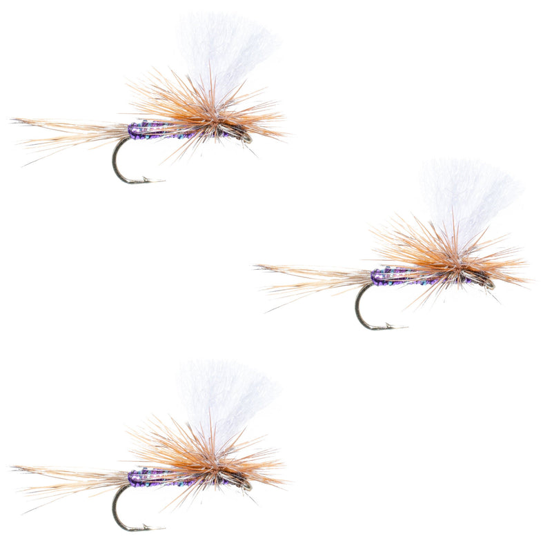 Load image into Gallery viewer, 3 Pack Parachute Super Flash Purple Haze Dry Fly - Size 16
