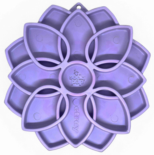 Mandala Softie eTray Shallow Slow Feeder Dog Bowl with Suction Cups |  USA Made