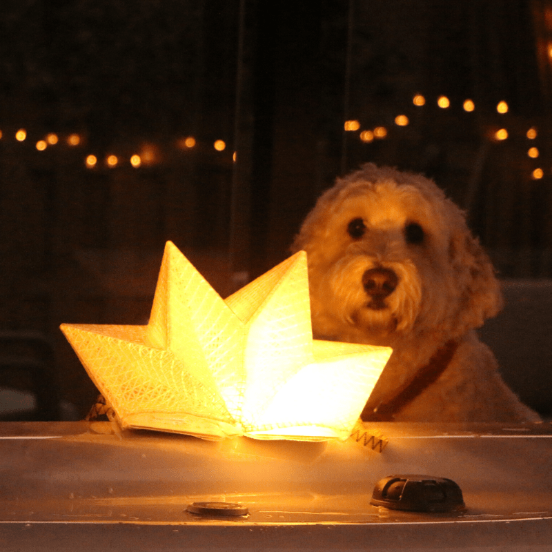 Load image into Gallery viewer, QWNN™ – Solar Lantern and Phone Charging Power Bank
