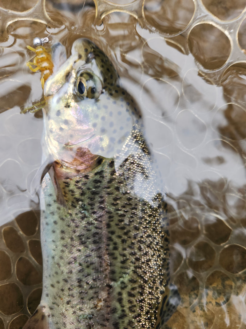 Load image into Gallery viewer, Custom 1.375" Soft Stonefly Nymphs
