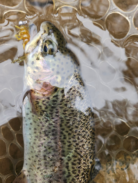 Custom 1.375" Soft Stonefly Nymphs