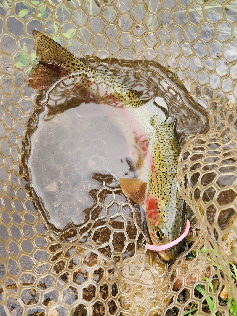 Load image into Gallery viewer, Custom trout worms

