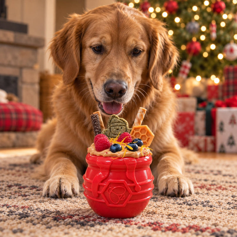 Load image into Gallery viewer, Honey Pot Dog eCup Treat Dispenser | Durable PUP-X Rubber Enrichment Toy | USA Made
