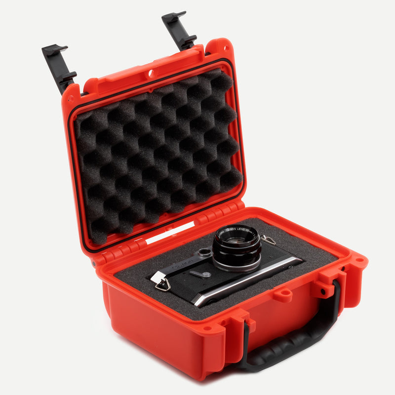 Load image into Gallery viewer, Seahorse 120
