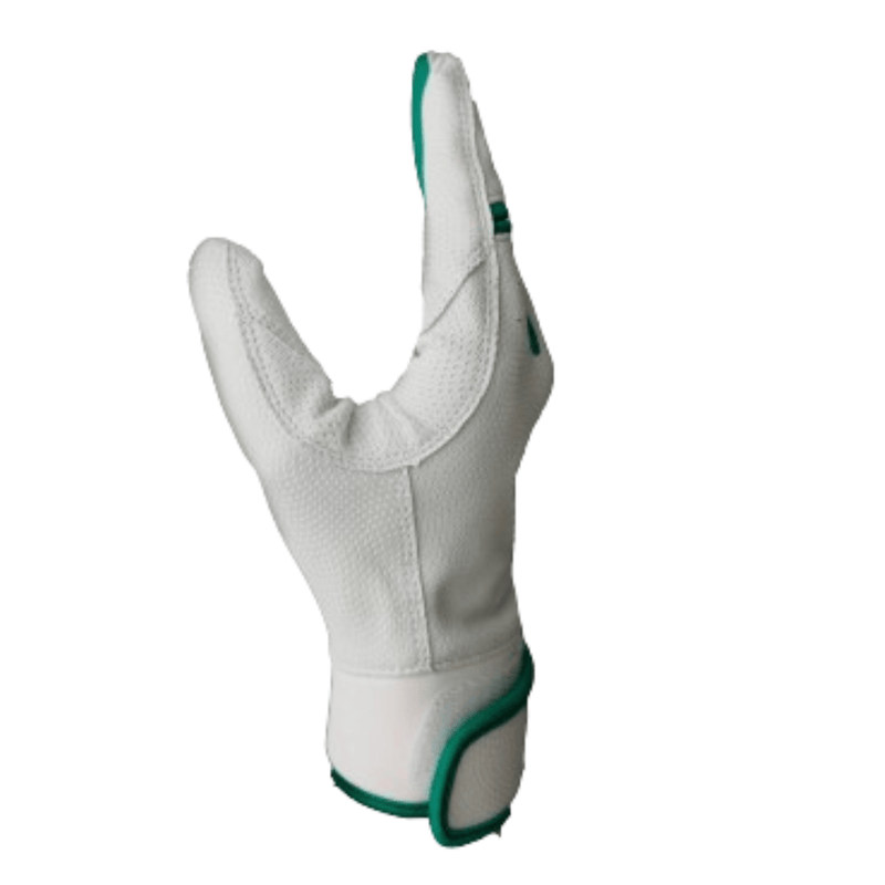 Load image into Gallery viewer, Resilient Championship Fastpitch Batting gloves - White and Green
