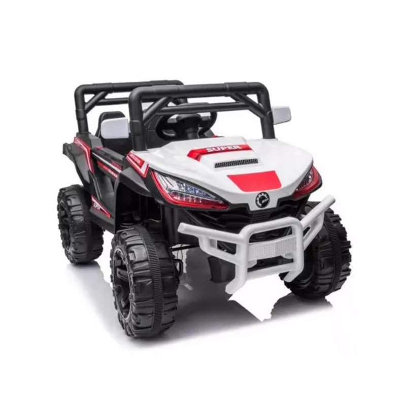 Load image into Gallery viewer, Rev Up the Fun: 12V Electric Ride-On Cars for Kids
