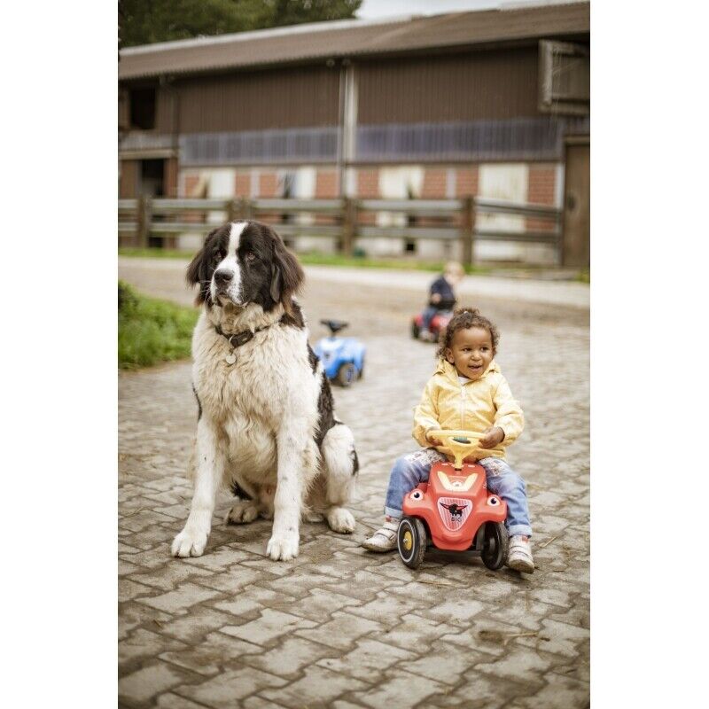 Load image into Gallery viewer, Rev Up the Fun with the BIG Rider Pusher Bobby Car Guard Sound!
