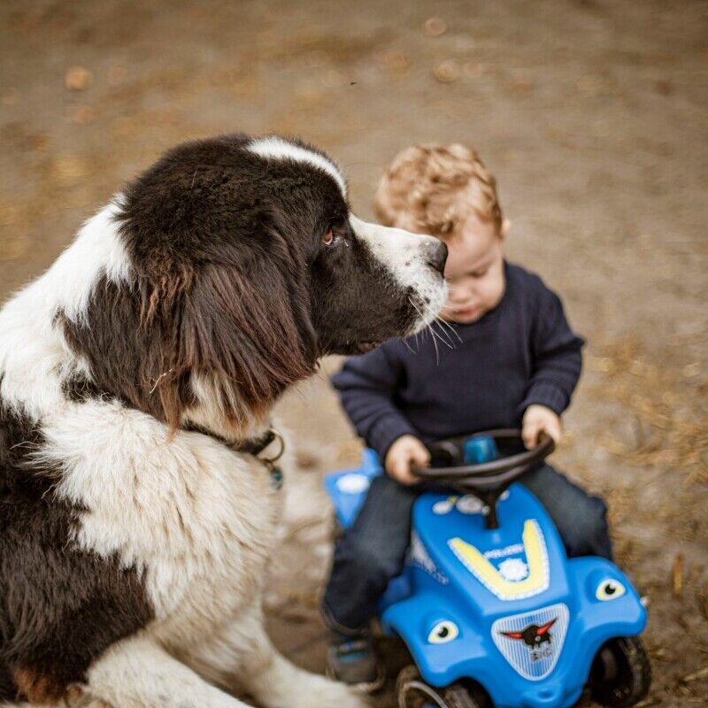 Load image into Gallery viewer, Rev Up Your Playtime with the Bobby Car Police Sound Rider
