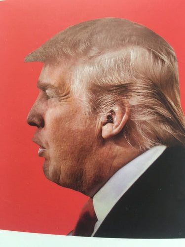 Left-Hand Drive Vehicle Trump Steering Wheel Cover