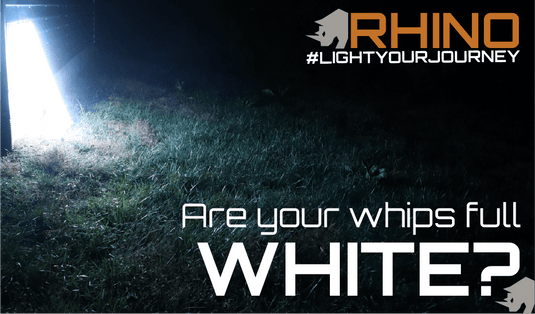 Rhino Lights Standard 1" Whip Lights