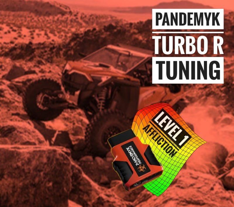 Load image into Gallery viewer, 2022-2024 Pandemyk Performance Polaris RZR Turbo R Tune
