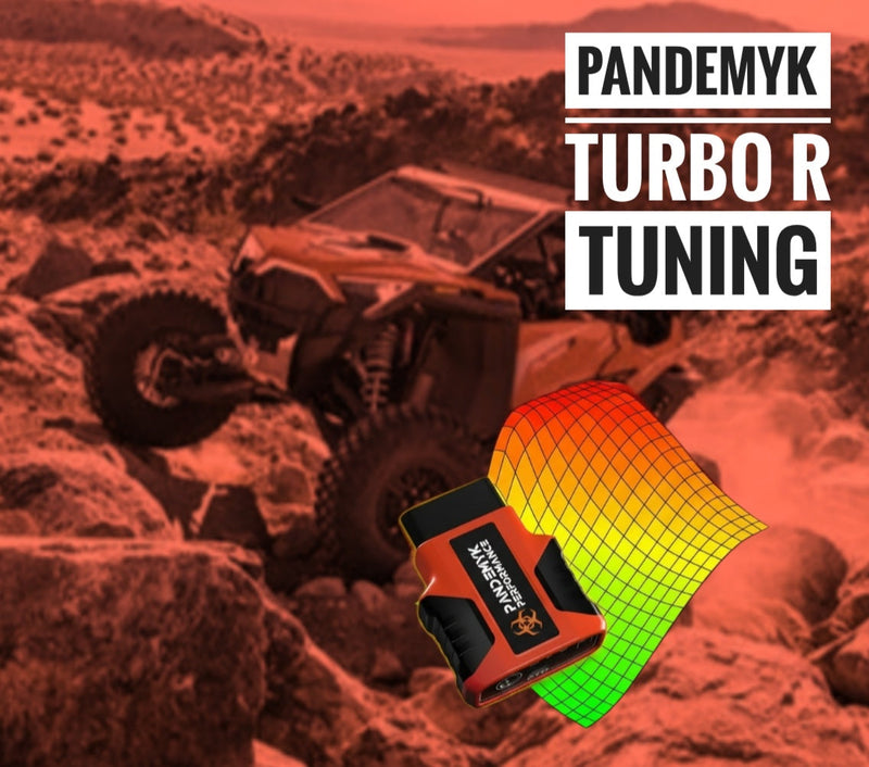 Load image into Gallery viewer, 2022-2024 Pandemyk Performance Polaris RZR Turbo R Tune
