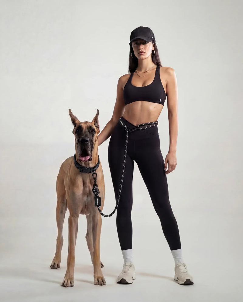 Load image into Gallery viewer, Runners Hands Free Dog Leash
