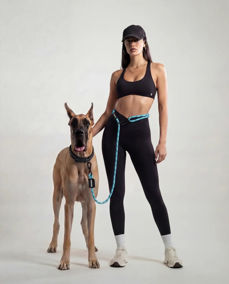 Load image into Gallery viewer, Aqua Blue Runners Hands-Free Dog Leash
