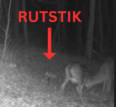 Load image into Gallery viewer, RutStik
