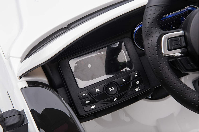 Load image into Gallery viewer, Custom Edition 24V Boys Ride-On Ford Mustang GT - Dual Motors + Remote Control
