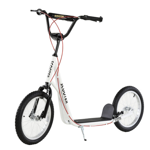 Youth Kick Scooter for Kids 5+ with 16