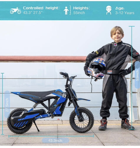 Load image into Gallery viewer, Electric Dirt Bike for Kids Ages 3-12: The Perfect Blue Ride
