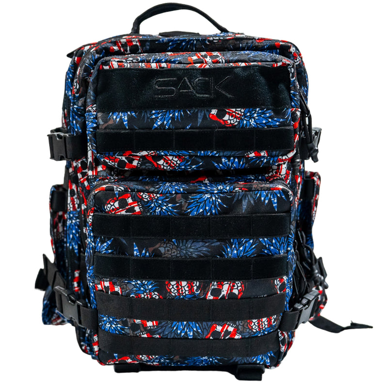 Load image into Gallery viewer, Tactical Athlete 25L Sack™ Backpack | OG Edition
