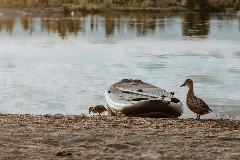 Load image into Gallery viewer, PreSale JoyRide XL All-Around Inflatable Paddleboard
