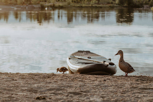 PreSale JoyRide XL All-Around Inflatable Paddleboard