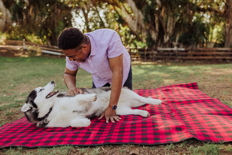 Load image into Gallery viewer, Blanket Tote Outdoor Picnic Blanket
