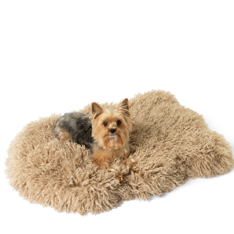 Load image into Gallery viewer, PupRug® Luxe Faux Fur Orthopedic Dog Bed -  Plush Sheep Tan
