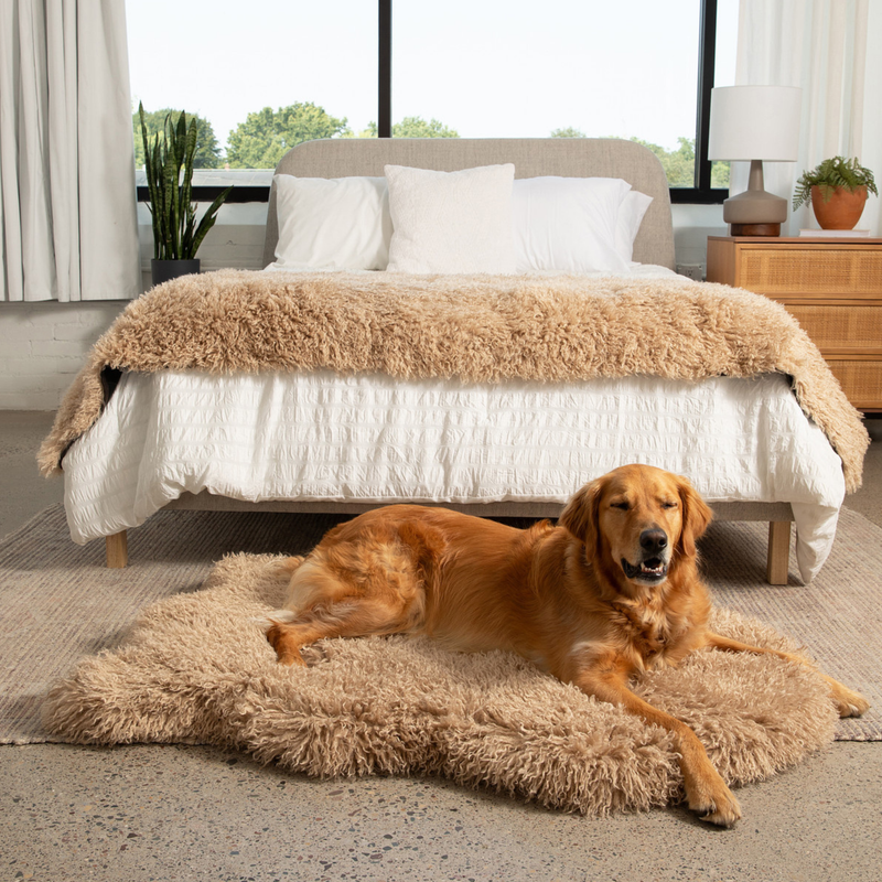 Load image into Gallery viewer, PupRug® Luxe Faux Fur Orthopedic Dog Bed -  Plush Sheep Tan

