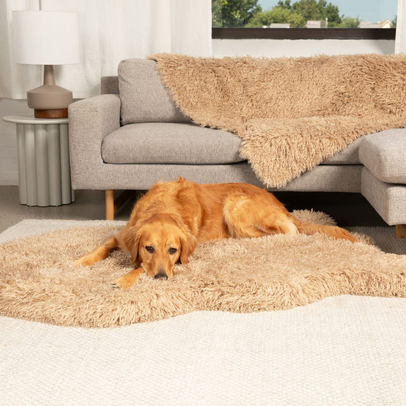 Load image into Gallery viewer, PupRug® Luxe Faux Fur Orthopedic Dog Bed -  Plush Sheep Tan
