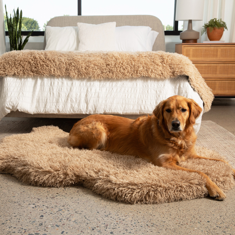 Load image into Gallery viewer, PupRug® Luxe Faux Fur Orthopedic Dog Bed -  Plush Sheep Tan
