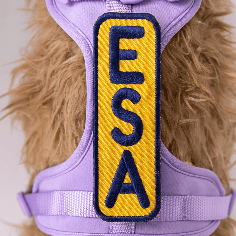 Load image into Gallery viewer, ESA 2x6 Patch
