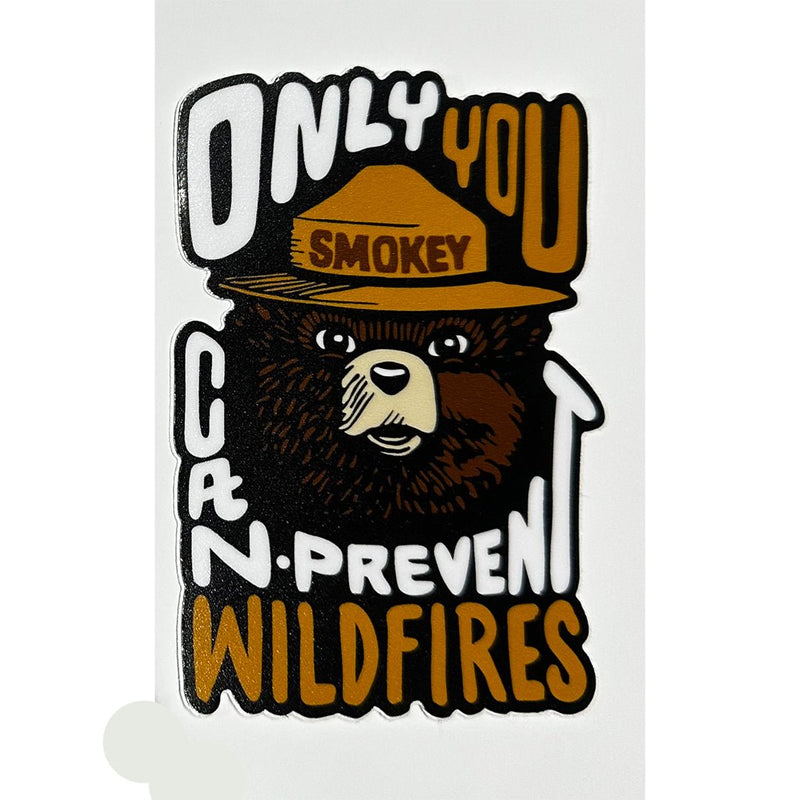 Load image into Gallery viewer, Smokey Bear &amp; Woodsy Owl Decals
