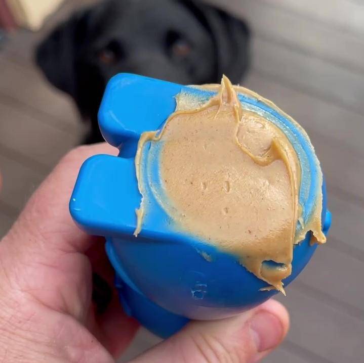 Load image into Gallery viewer, Bunny Nylon Chew Toy for Aggressive Chewers | Durable &amp; USA Made
