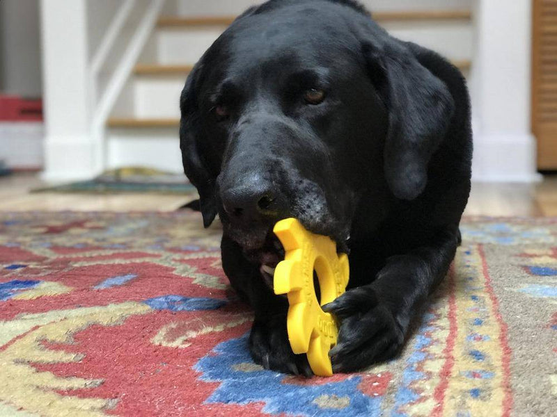 Load image into Gallery viewer, Circular Saw Blade  Ultra Durable Nylon Dog Chew Toy
