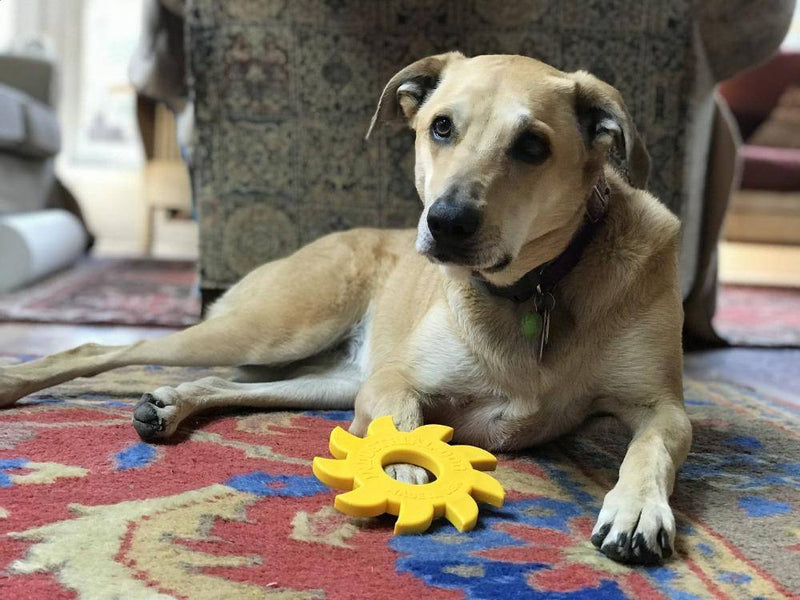 Load image into Gallery viewer, Circular Saw Blade  Ultra Durable Nylon Dog Chew Toy
