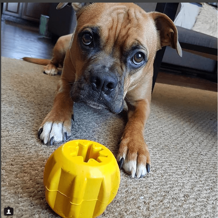Load image into Gallery viewer, Gear eDispenser - Durable Rubber Yak Chew Holder &amp; Treat Pocket | USA Made
