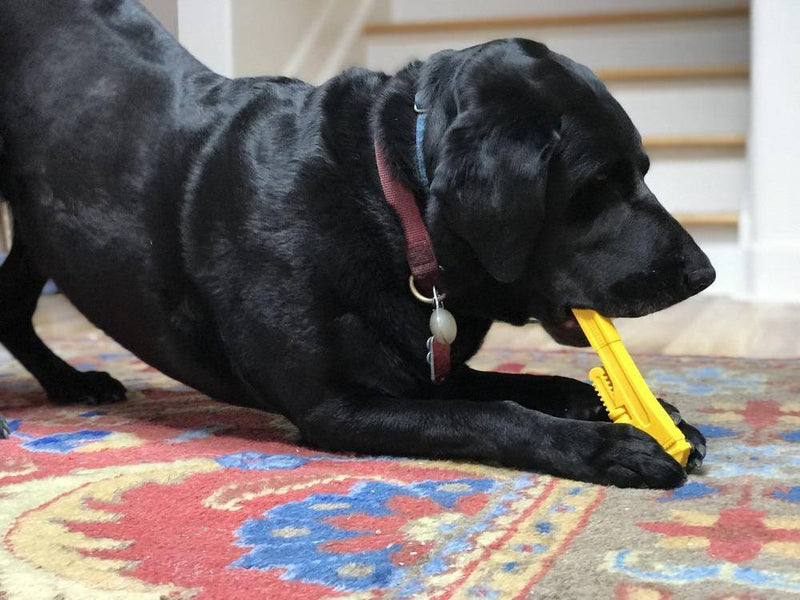 Load image into Gallery viewer, Pipe Wrench Nylon Dog Toy for Aggressive Chewers | USA Made | SodaPup
