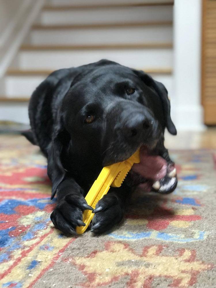 Load image into Gallery viewer, Pipe Wrench Nylon Dog Toy for Aggressive Chewers | USA Made | SodaPup
