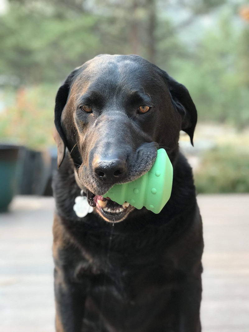 Load image into Gallery viewer, Christmas Tree Dog Toy - Durable Rubber Chew Toy for Large Dogs | USA Made
