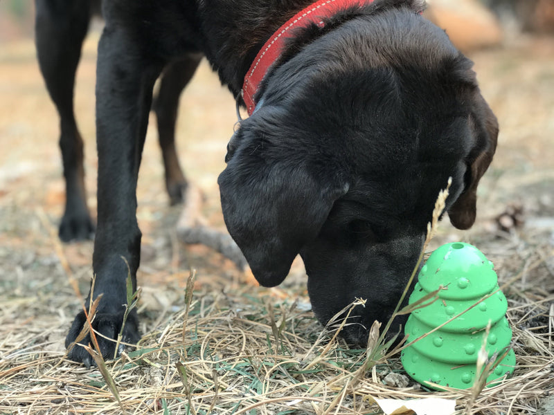 Load image into Gallery viewer, Christmas Tree Dog Toy - Durable Rubber Chew Toy for Large Dogs | USA Made
