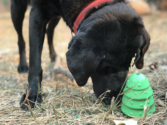 Christmas Tree Dog Toy - Durable Rubber Chew Toy for Large Dogs | USA Made