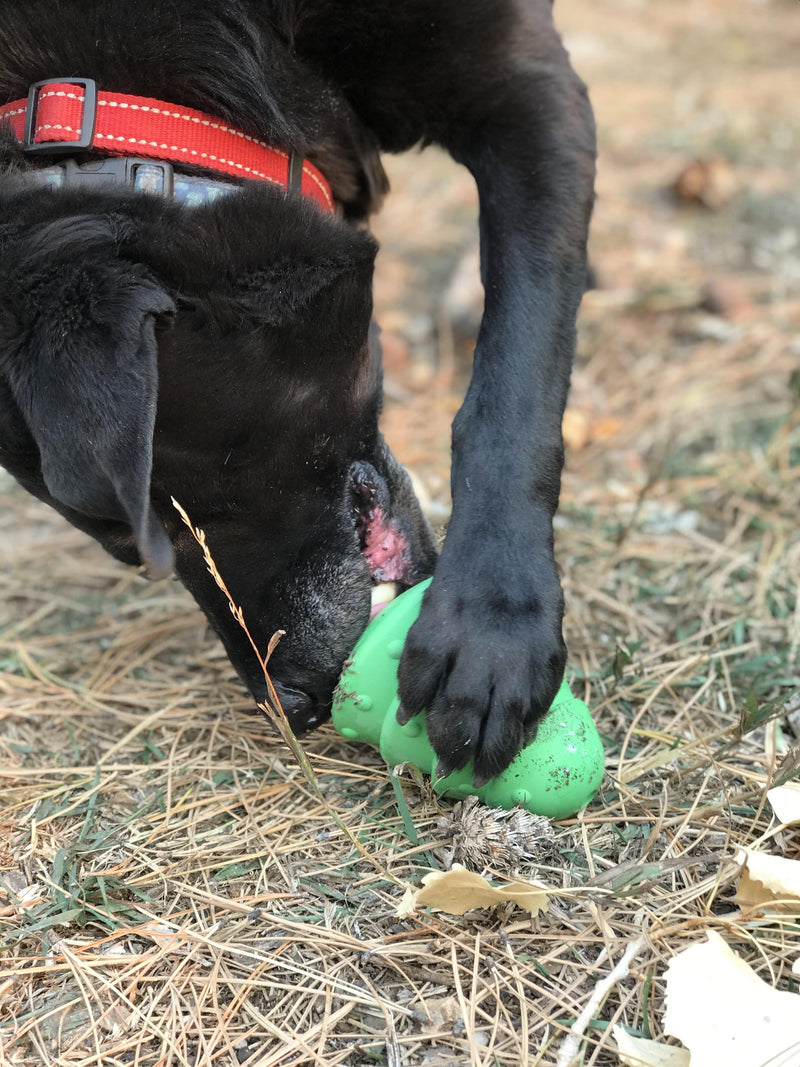 Load image into Gallery viewer, Christmas Tree Dog Toy - Durable Rubber Chew Toy for Large Dogs | USA Made
