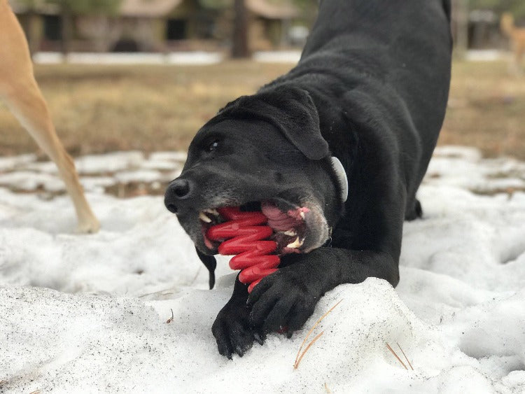 Load image into Gallery viewer, Christmas Tree Nylon Dog Chew Toy for Aggressive Chewers | USA Made &amp; FDA Compliant
