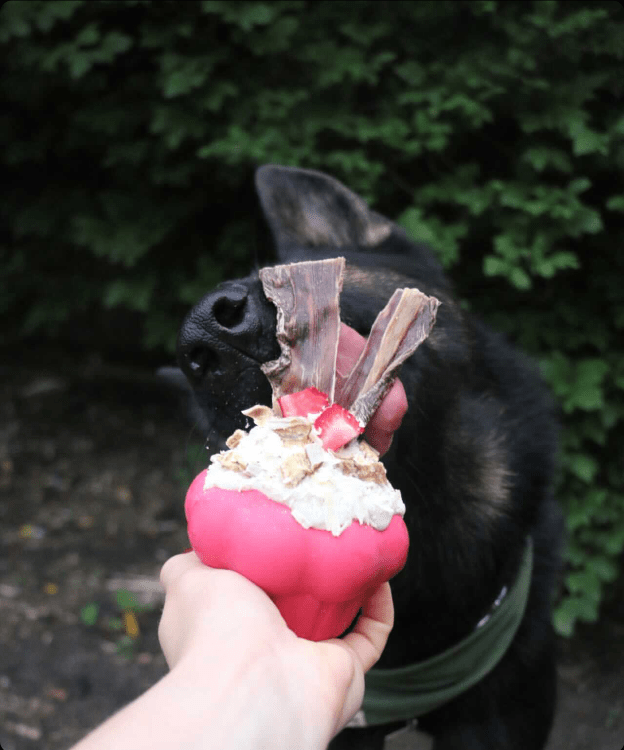 Load image into Gallery viewer, Cupcake eDispenser - Durable Rubber Chew Toy &amp; Treat Dispenser | USA Made
